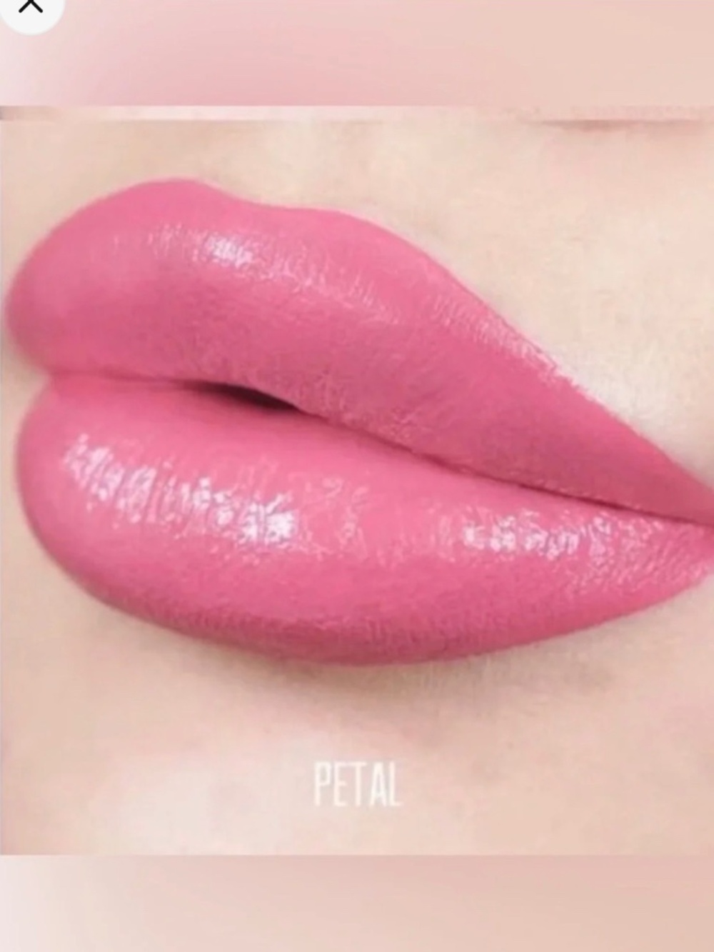 Bodyography PETAL Lip Lava Liquid Lipstick Soft Pink Matte NEW PC